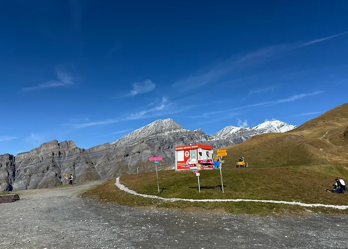 شقة Salute Budget *