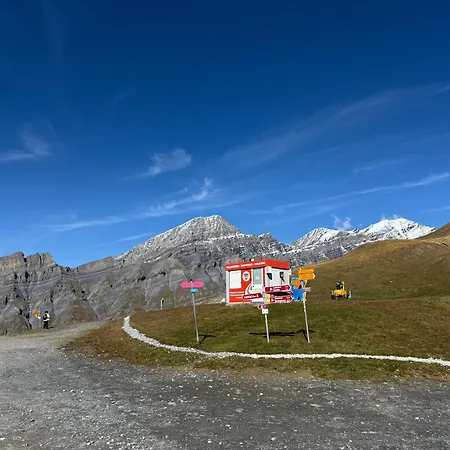 Appartement Salute Budget *